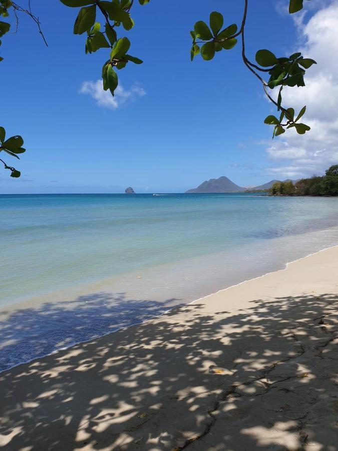 Ste Luce, N° 11 Appart -300M Plage De Mabouyas Corps de Garde Экстерьер фото